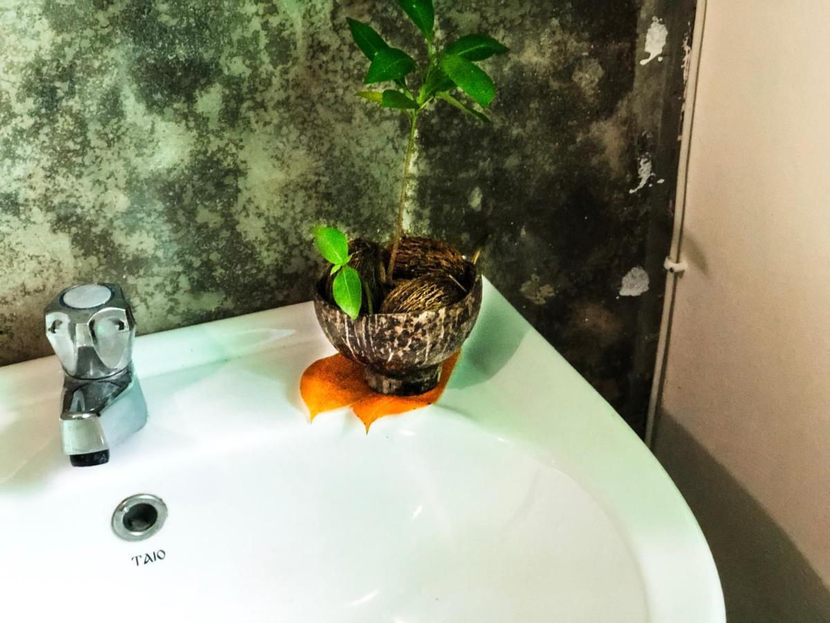 Circus Lagoon Hideaway Bed & Breakfast Dodanduwa ภายนอก รูปภาพ
